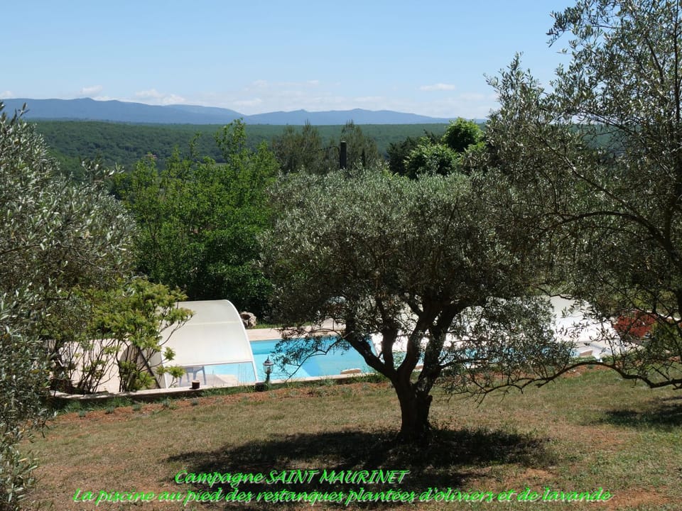Garden, Pool view, Swimming pool