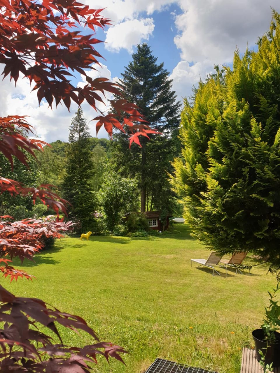 Spring, View (from property/room), On site, Garden view, River view
