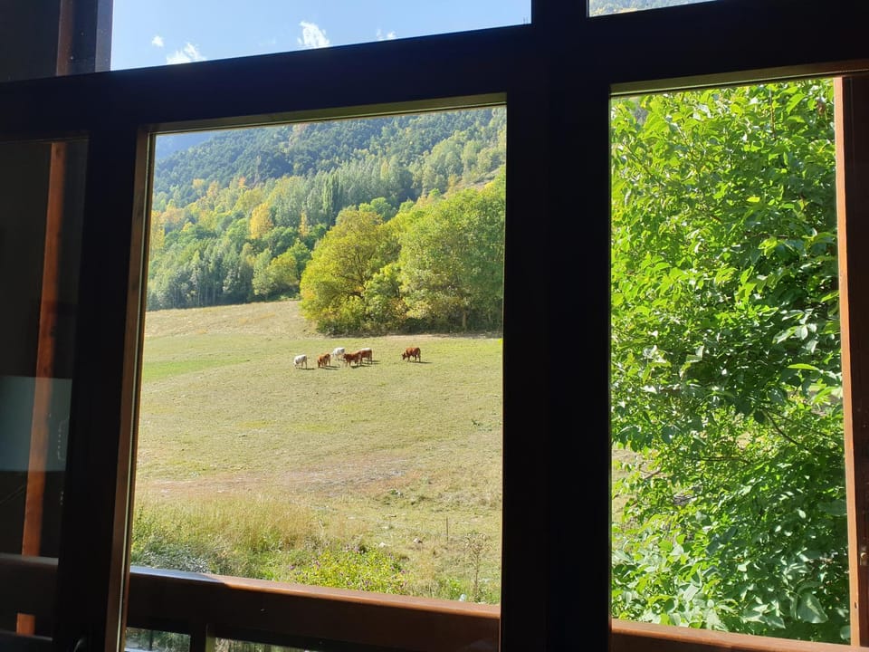 Mountain view