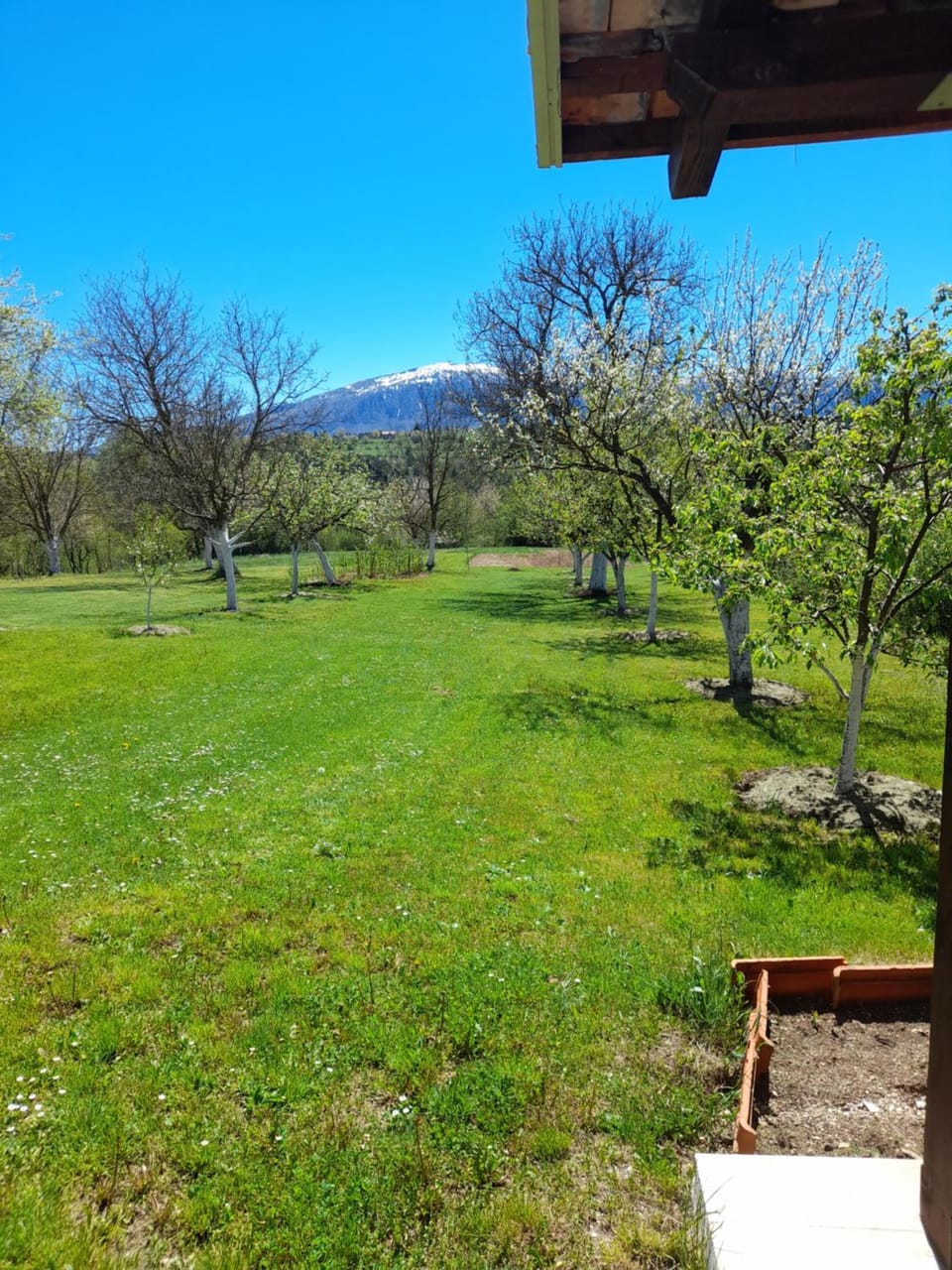 Garden view