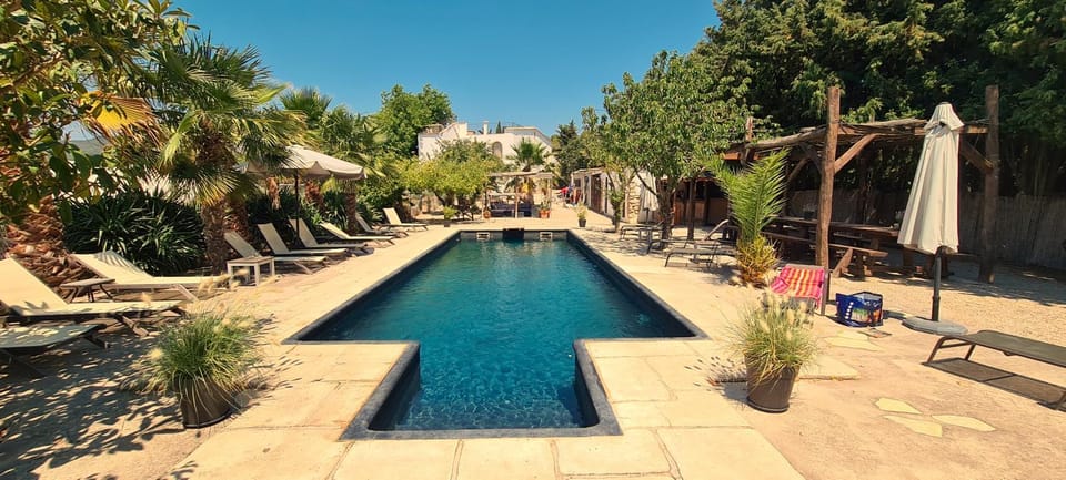 Garden, Swimming pool, sunbed