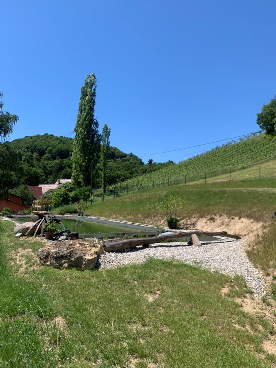 Koschak Wirt & Weinbauer Inn in Styria
