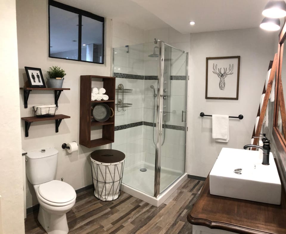 Shower, Toilet, Bathroom, towels