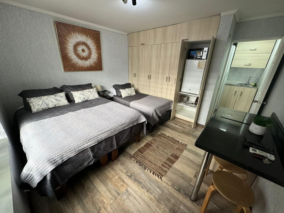 Departamento Studio - Carrera - Factura - Central - Empresas - Parking - Wifi - Aire acondicionado Apartment in Bio Bio, Chile