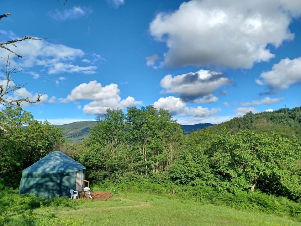 View (from property/room)