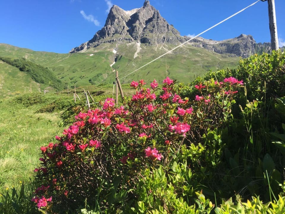 Nearby landmark, Spring, Day, Natural landscape, Mountain view