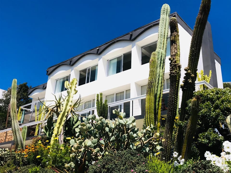 Property building, Garden view