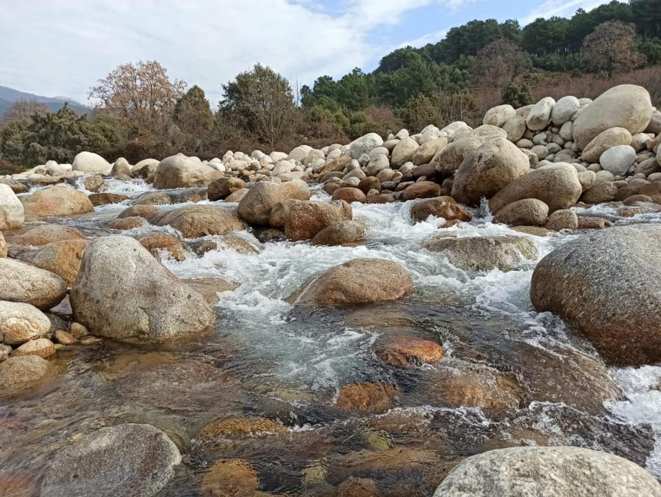 Natural landscape, Beach, Hiking, River view