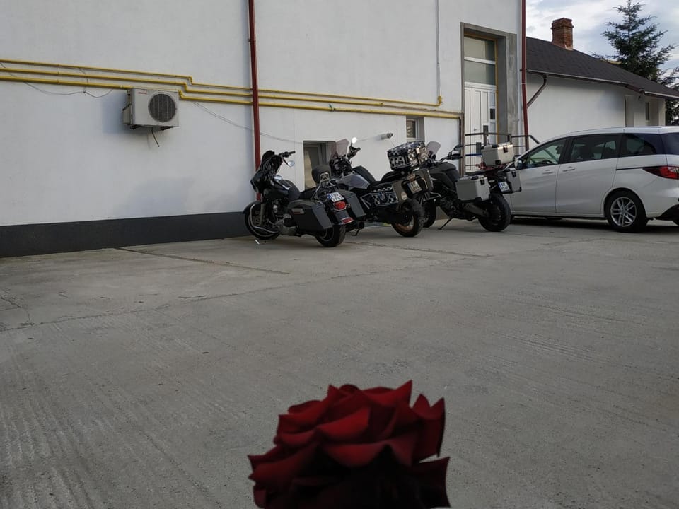 Cycling, group of guests, Parking