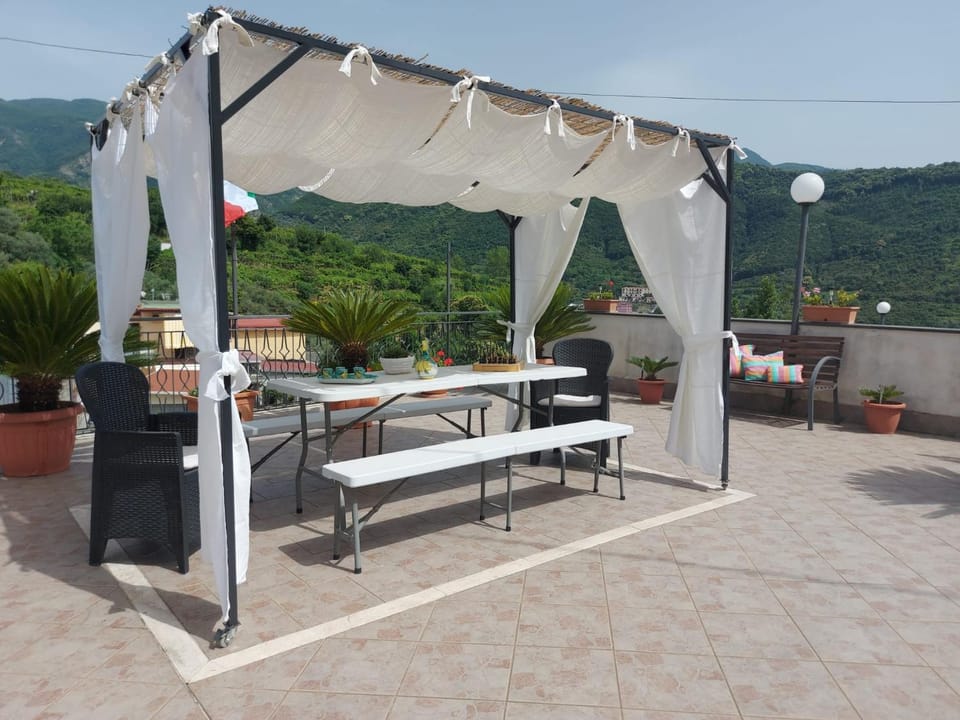Patio, Garden, Garden view