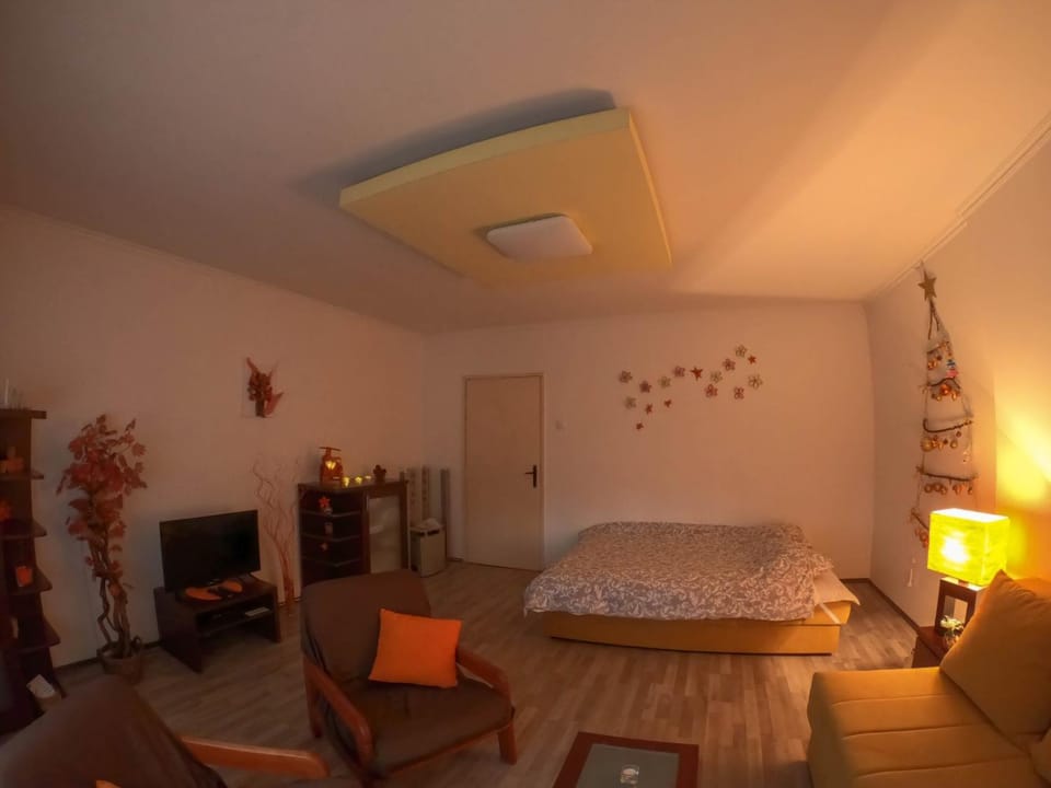 Nica Apartman Novi Sad Apartment in Novi Sad