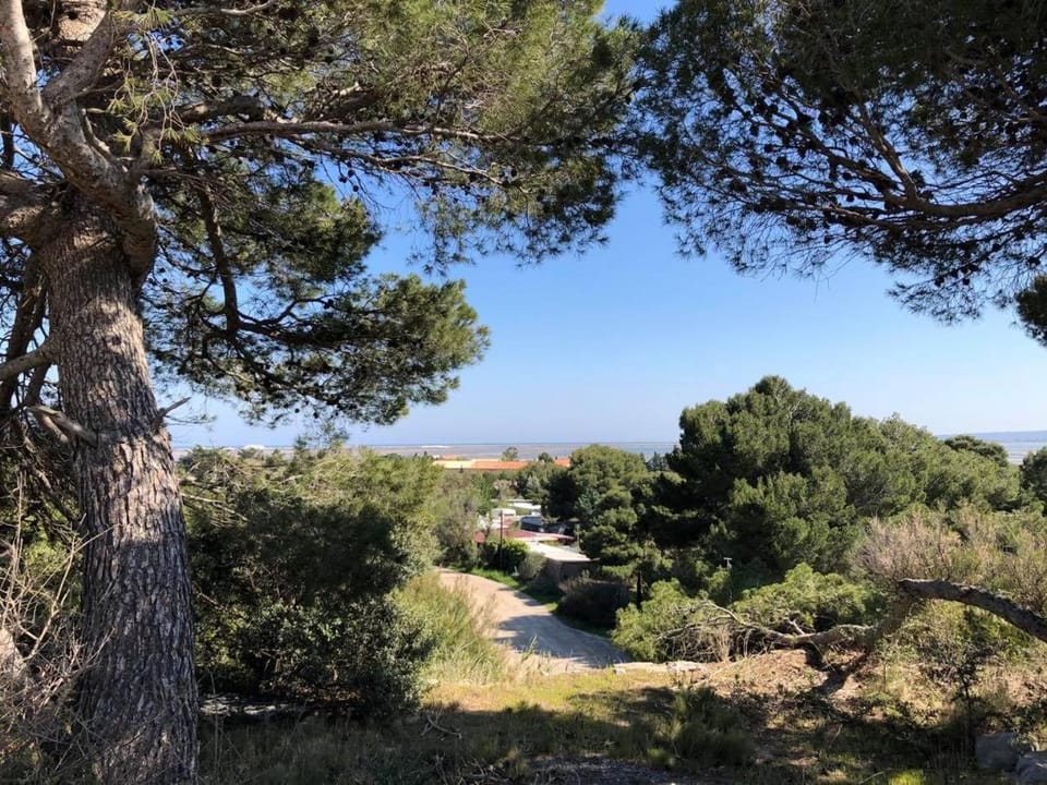 Natural landscape, Hiking