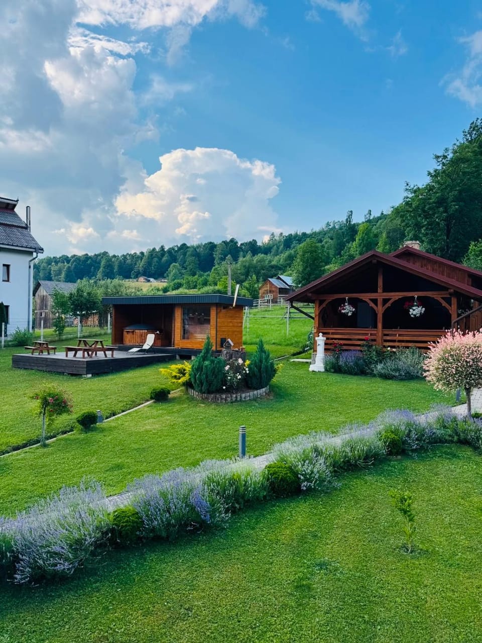 Pensiunea Edia Bed and Breakfast in Romania