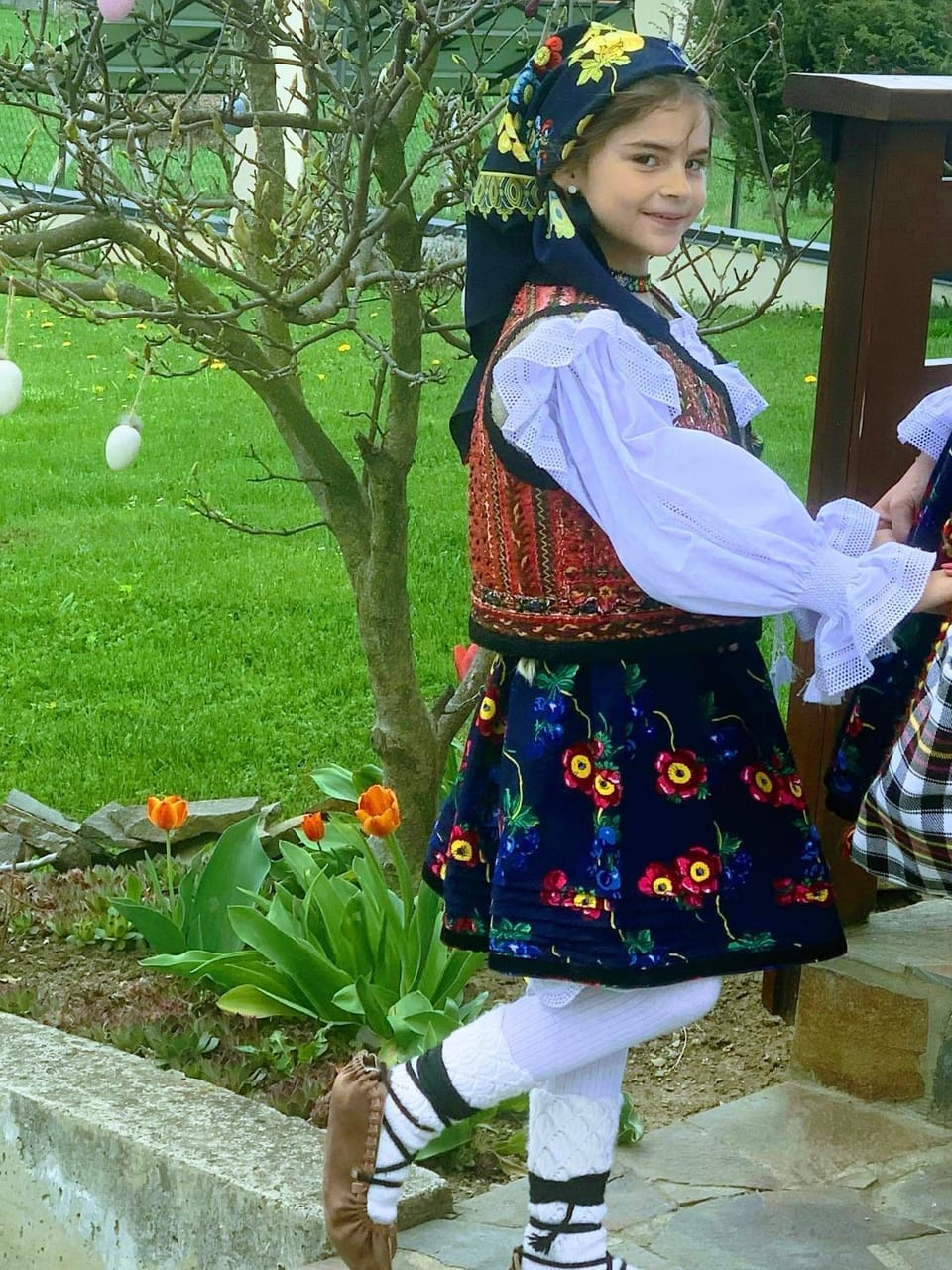 Pensiunea Edia Bed and Breakfast in Romania
