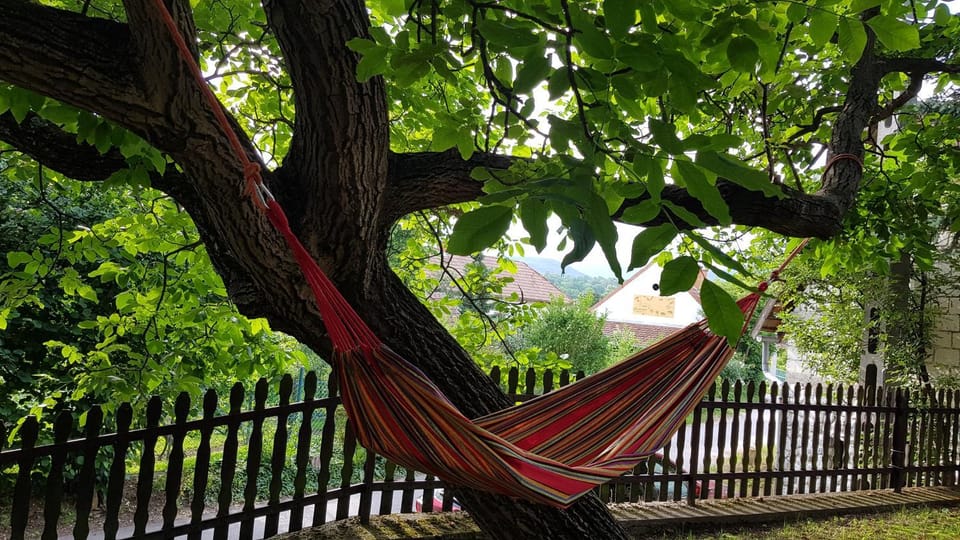 Activities, Garden, Garden view
