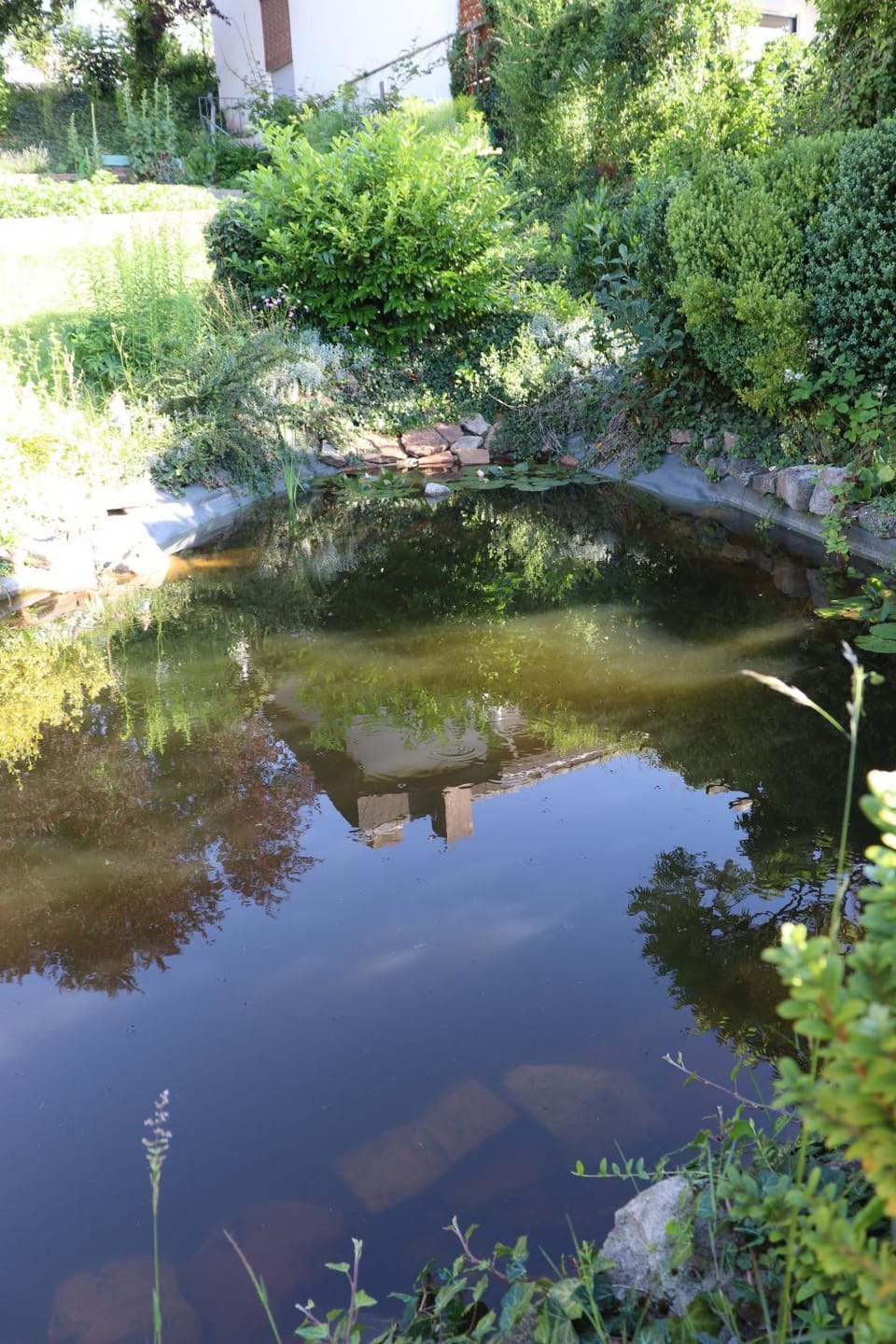 Garden, Decorative detail