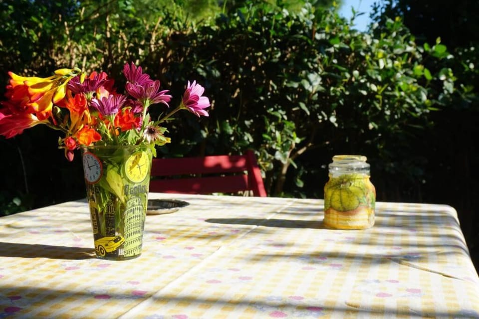 Cosy guest house with private yard House in East Attica Regional Unit, Greece