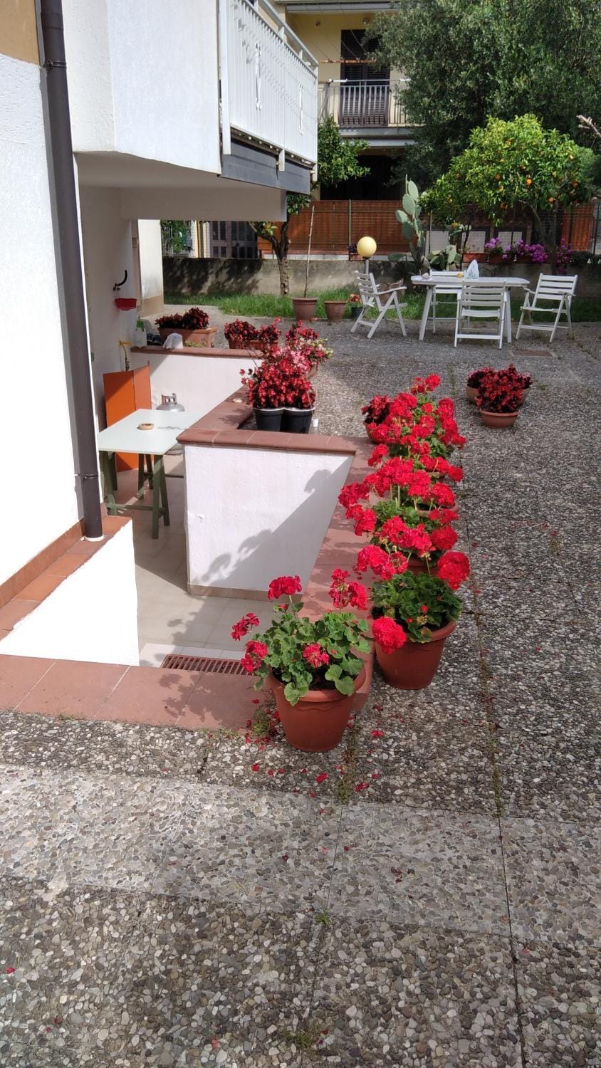 Casa mia - Marina di Ascea - Apartment in Campania