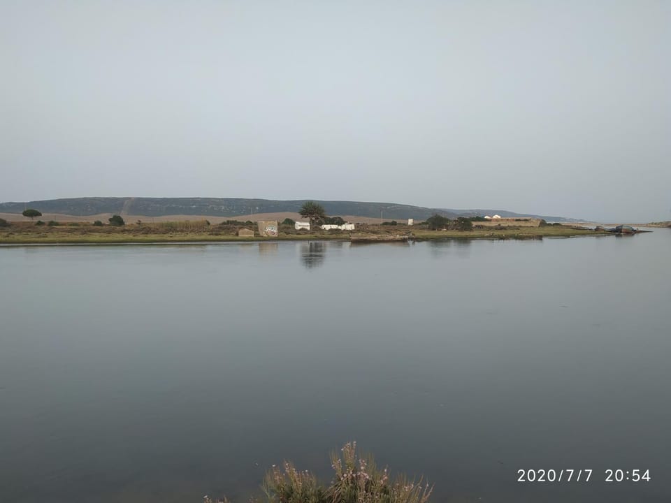 Natural landscape, River view