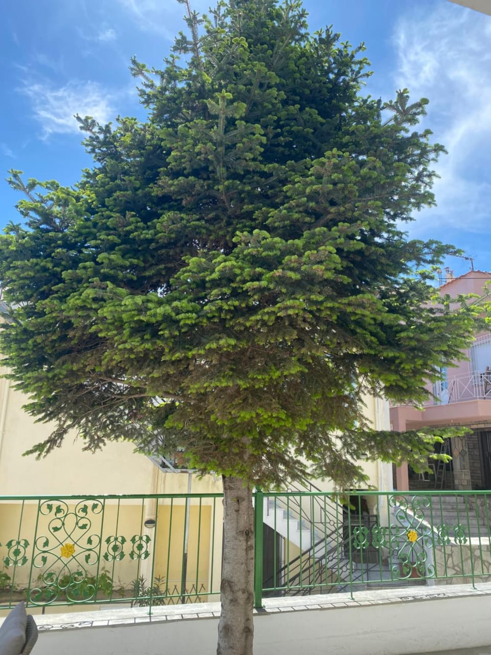 Small Garden Studio Apartment in Kavala