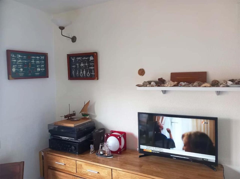 TV and multimedia