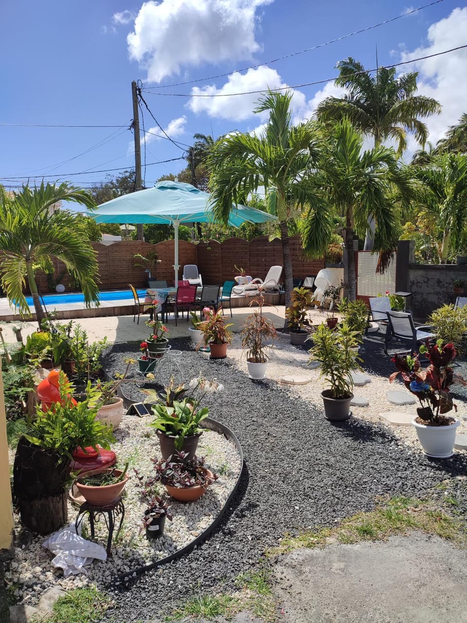 Garden view