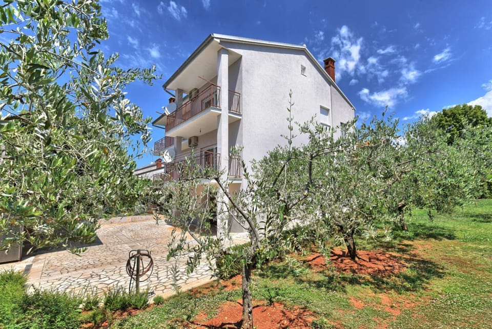 Property building, Garden