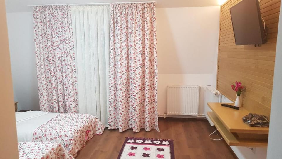 PENSIUNEA BERCA Bed and Breakfast in Romania