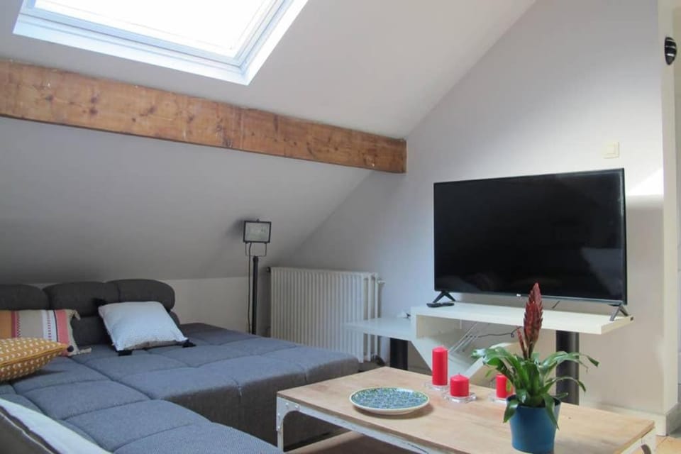 Brussels Downtown Apartment in Brussels