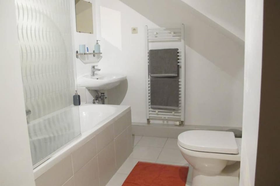 Brussels Downtown Apartment in Brussels