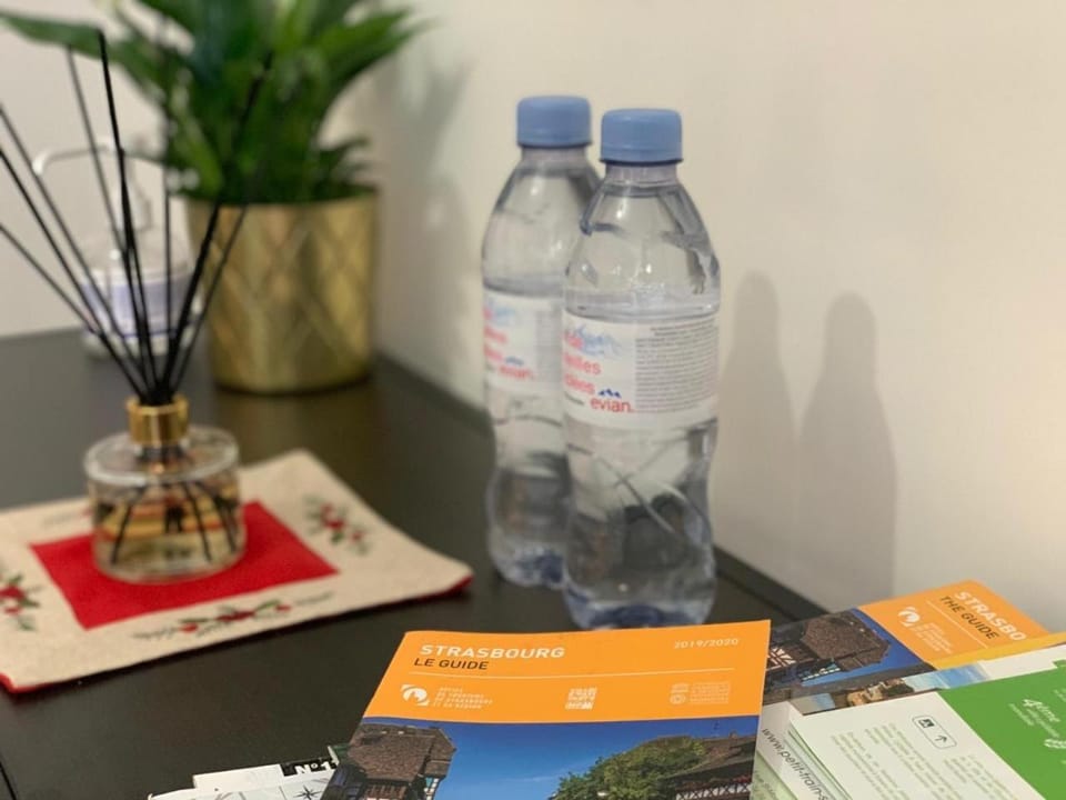 Le Pont Kuss Apartment in Strasbourg