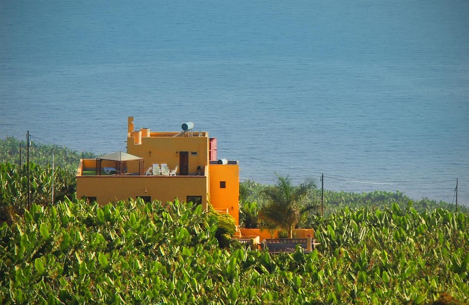 Property building, Restaurant/places to eat, Spring, Day, Natural landscape, Summer, Garden, View (from property/room), Balcony/Terrace, Beach, Garden view, Garden view, Sea view