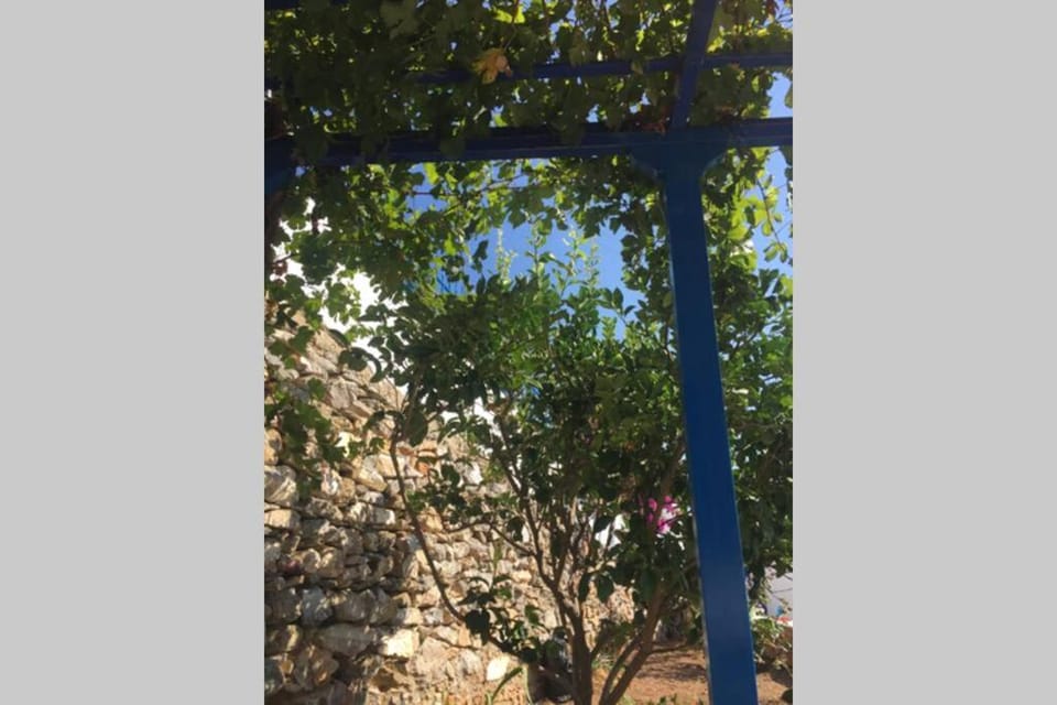 Cycladic houses in rural surrounding 3 House in Decentralized Administration of the Aegean