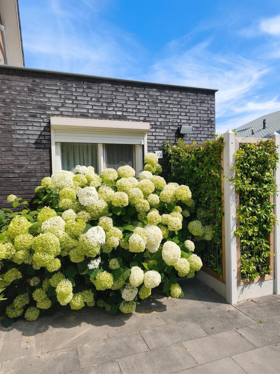 Zoutelande Koddelaan vakantiewoning Apartment in Zoutelande