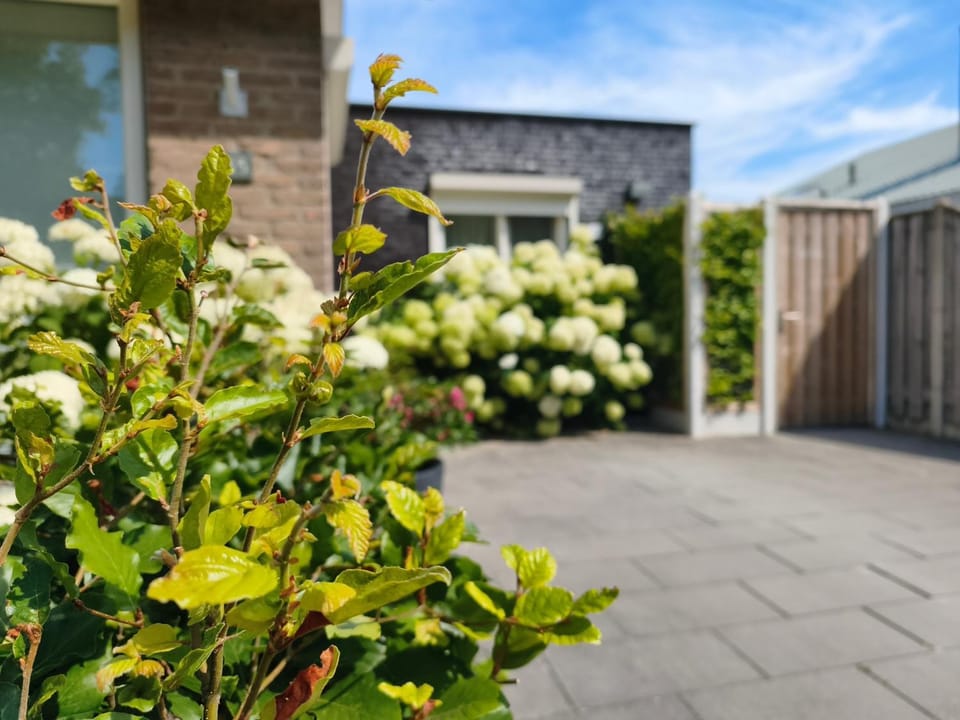 Zoutelande Koddelaan vakantiewoning Apartment in Zoutelande
