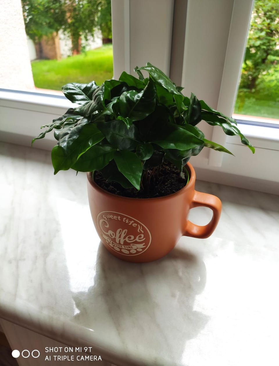 Coffee/tea facilities