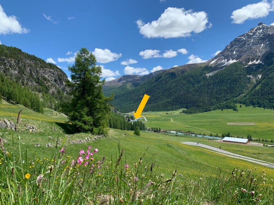 Location