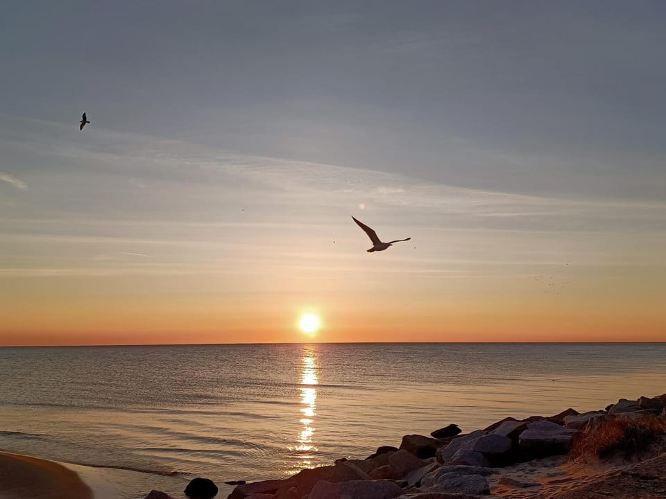 Beach, Sea view, Sunset