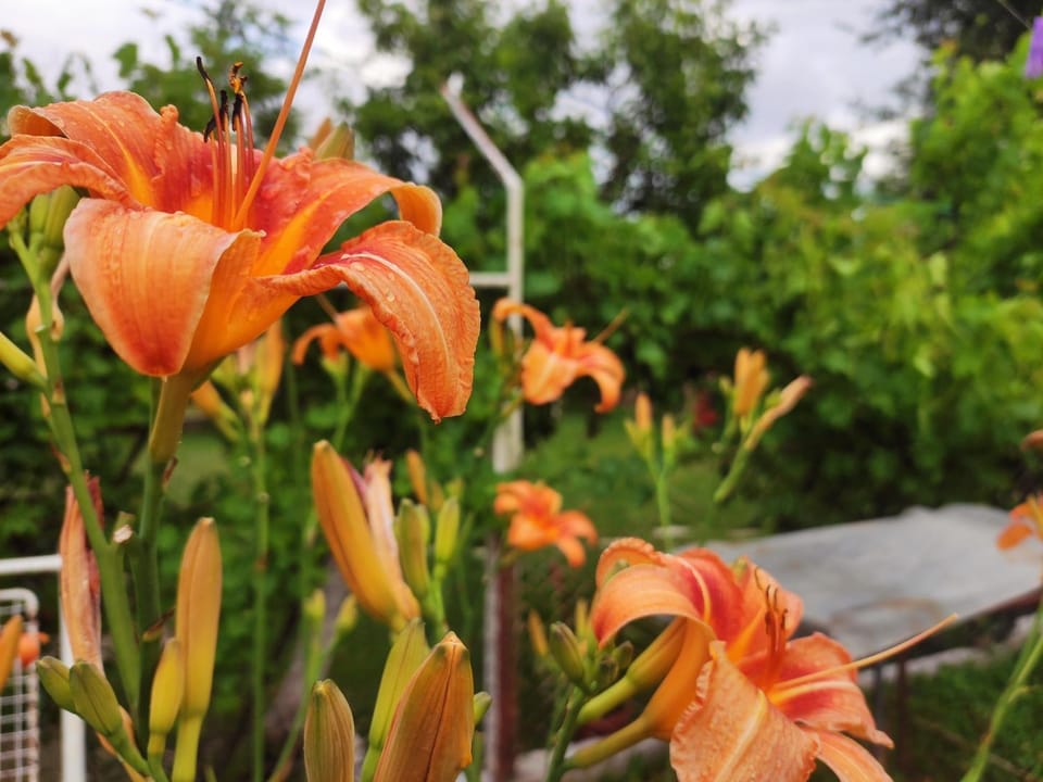 Konak Mali Raj Bed and Breakfast in Serbia
