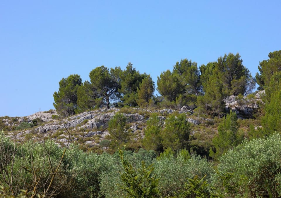 Le jardin du Castillon Bed and Breakfast in Arles