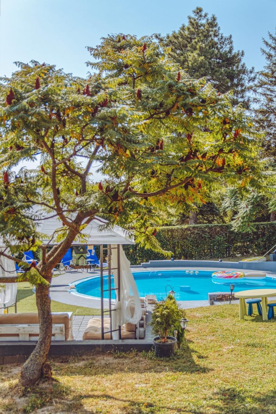 Garden, Garden view, Pool view, Swimming pool