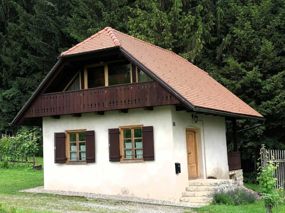 Holiday house apartment Voukov mlin House in Slovenia