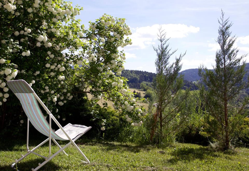 View (from property/room)