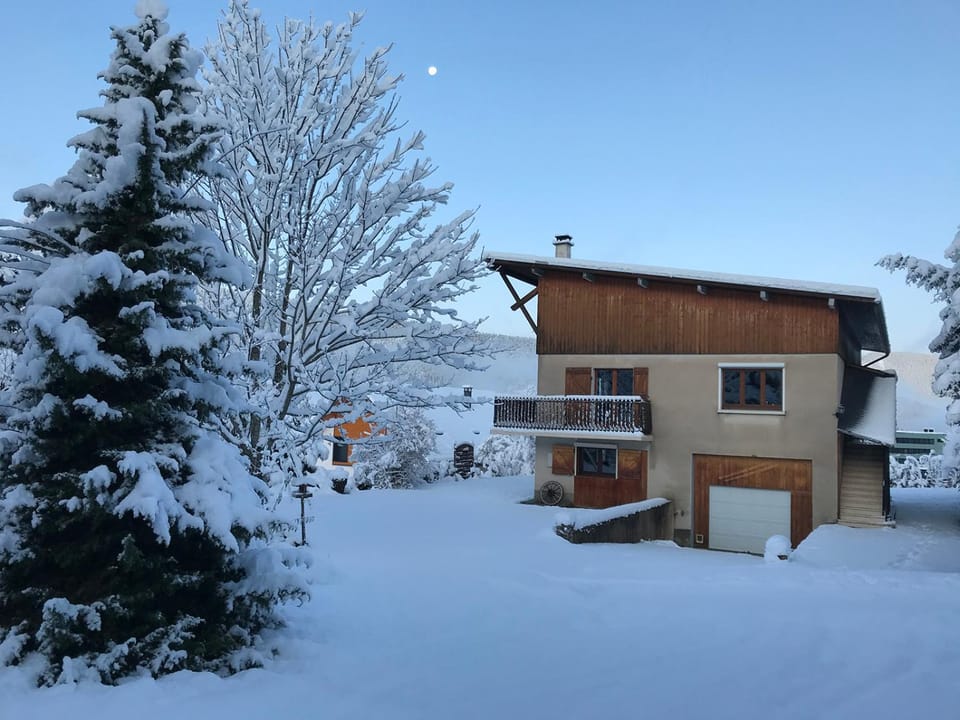 Property building, Winter, Garden, Garden