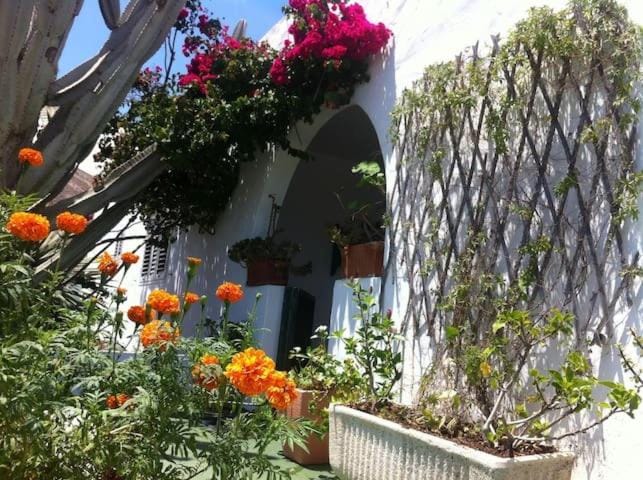 Property building, Garden