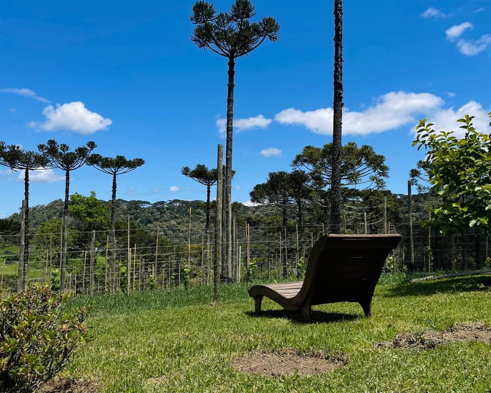 Natural landscape, Garden view