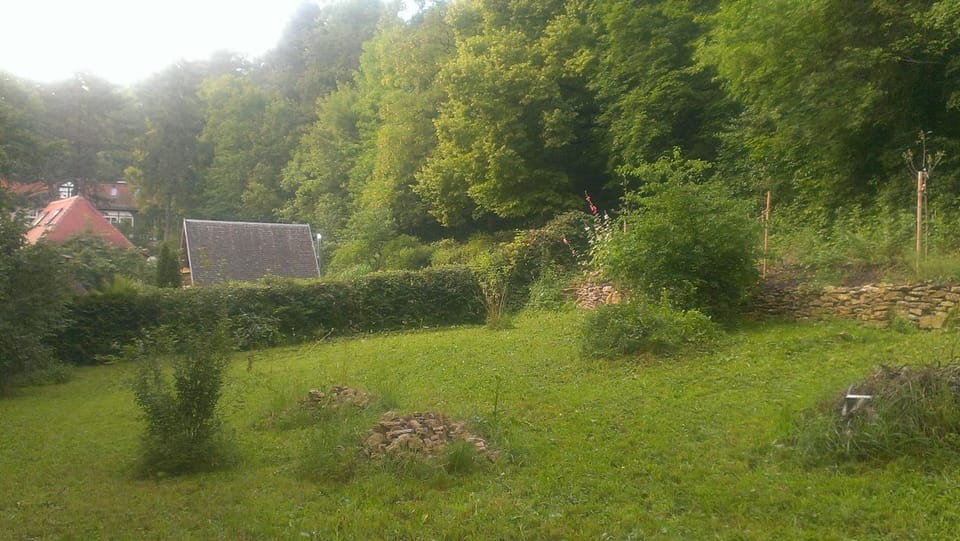 Natural landscape
