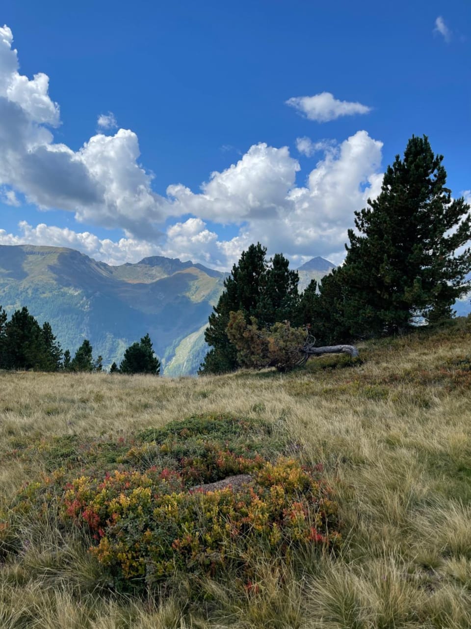 Hiking