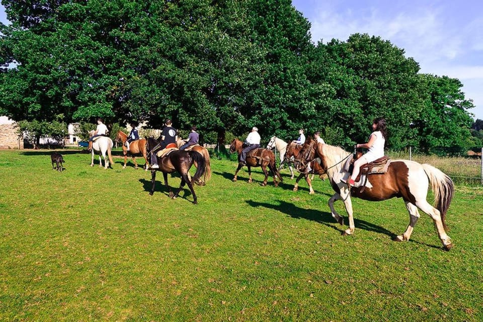 Horse-riding, Area and facilities