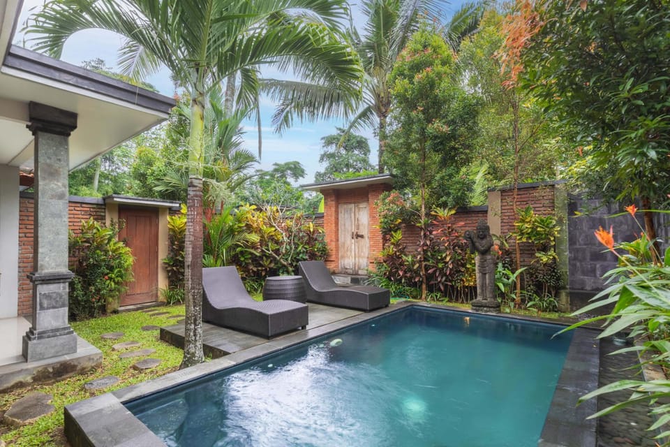 Day, Garden, Garden view, Pool view, Swimming pool, sunbed